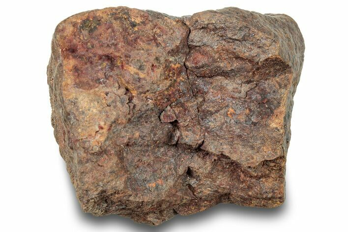 Chondrite Meteorite ( g) - Western Sahara Desert #247494